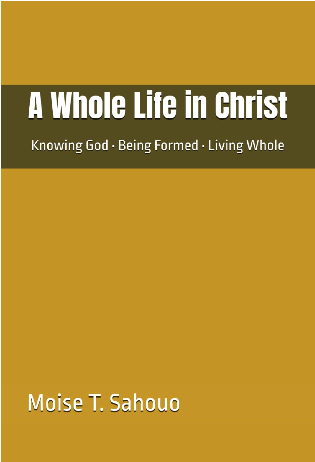 Book cover: Life In (English edition)